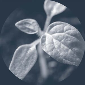 ESG recruitment – Largo Jackson & Partners